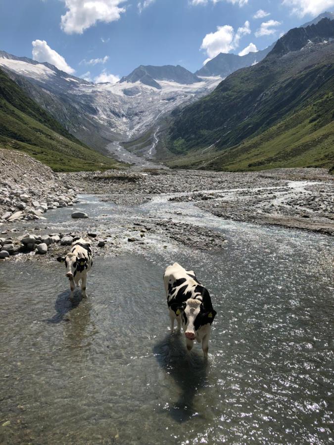 Landhaus Zillertal Ramsau im Zillertal Eksteriør billede