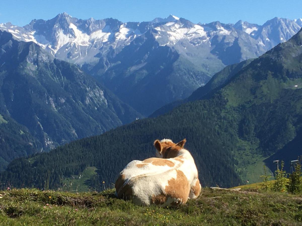 Landhaus Zillertal Ramsau im Zillertal Eksteriør billede