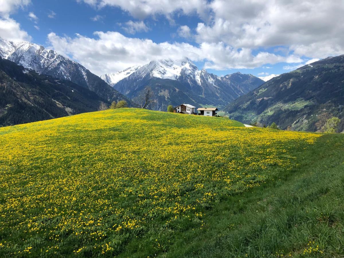 Landhaus Zillertal Ramsau im Zillertal Eksteriør billede